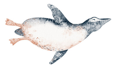 Watercolor penguin in floating pose. Illustration isolated figure for card or poster. Educational drawing for kids learning and aquatic wildlife themes.