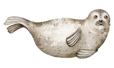 Watercolor seal in isolated view. Marine mammal with flippers and long whiskers. Arctic wildlife illustration for nursery and design. Hand drawn artwork for card or wall art.