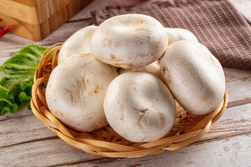 Raw white champignon mush heap