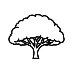 Simple outline drawing of a large tree with full canopy