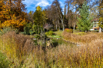 Autumn forest landscapes in Europe and a picturesque forest path