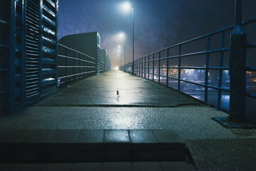 Night scene of the pedestrian bridge in autumn