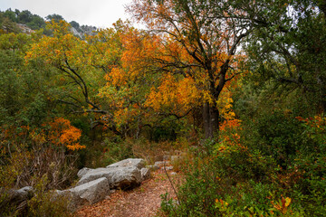 Termessos (Greek Τερμησσός Termēssós), also known as Termessos Major (Τερμησσός...