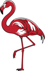 Red flamingo standing on one leg with white wing accents bird animal vector illustration EPS file download.
