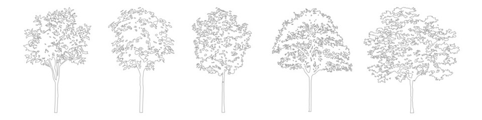 Fototapeta premium Minimal CAD tree drawings for architectural and landscape plans