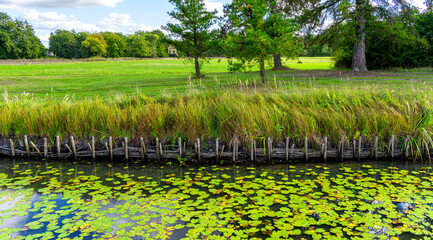 Landschaft und Natur im Gartnereich Dessau-W&ouml;rlitz, W&ouml;rlitzer Park, UNESCO Weltkulturerbe, Dessau, Sachsen Anhalt, Deutschland