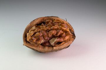 Half Open Walnut Shell With Brown Kernel Inside Studio Shot