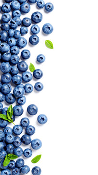 Blaubeeren vor isoliertem Hintergrund 