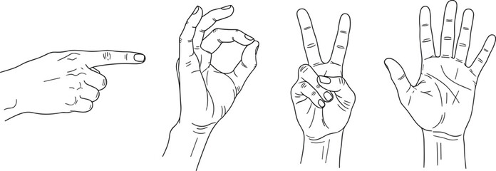 Set of hand gestures showing pointing finger, ok sign, peace victory sign, and open palm, black outline vector sketch.
