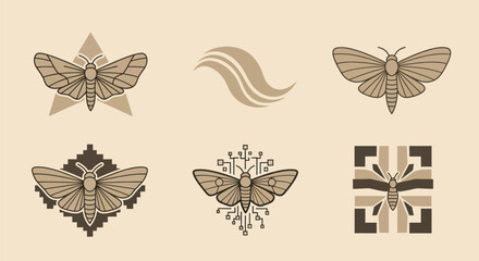 A collection of moth illustrations, each with unique geometric backgrounds & designs