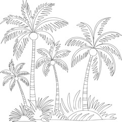 Fototapeta premium tropical palm trees