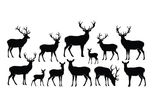 A collection of black silhouette deer and fawns standing together