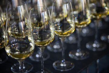 Many champagne glasses in a luxurious ambiance. Stylish, slightly dark-toned photograph. High-society reception, New Year celebration, wedding