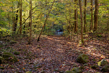 Car parked at the end of the trail