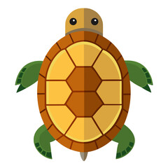 Flat design sea turtle illustration Vector, illustration