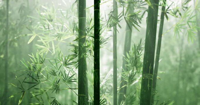 Vibrant green bamboo stalks rise elegantly towards the sky, surrounded by soft mist, creating a peaceful and enchanting ambiance, perfect for relaxation and reflection on a quiet morning.