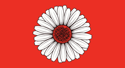 Daisy on Red