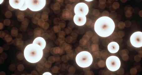 A whimsical array of soft glowing orbs floats against a shimmering backdrop. The glowing lights enhance a cozy, enchanting atmosphere during a serene evening gathering.