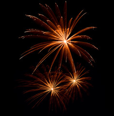 Fireworks explosions against black night sky