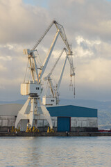 Fototapeta premium Port crane in a seaport, cargo transportation