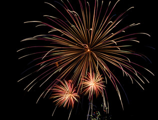 Fireworks explosions against black night sky