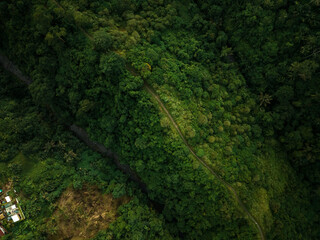 Aerial view of artist trail in Ubud, Bali