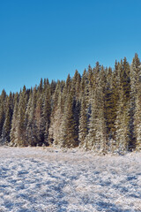Landscape from and around the Vindflomyrene Nature Reserve at the Totenåsen Hills, Norway, November 2025.