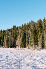 Landscape from and around the Vindflomyrene Nature Reserve at the Totenåsen Hills, Norway, November 2025.