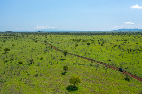 Aerial view of a vehicle traversing a dirt road cutting through vibrant green grasslands dotted with sparse trees under a vast blue sky, Pian Upe Game Reserve, Moroto, Uganda.