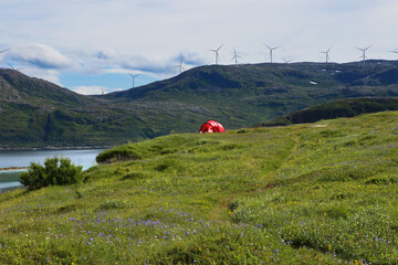Fototapete bei efototapeten.de bestellen   