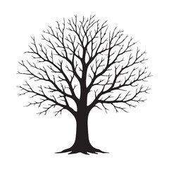 Large Leafless Deciduous Tree Silhouette With Detailed Branching Structure
