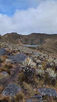 Monta&ntilde;istas en las lagunas de siecha, ubicadas en el paramo de Chingaza, cerca a Bogot&aacute;