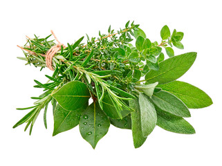 Bundle of Rosemary and Bay Leaves on White Background