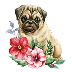 Cute Pug puppy with red and pink floral bouquet and ladybug in soft watercolor botanical illustration