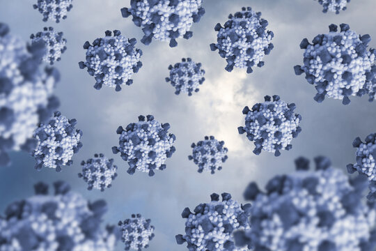 Exploring the world of viruses.