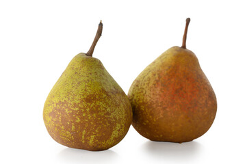Two autumn pears on white background