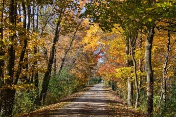 Colorful view of the Bugline Trail passing through a forest displaying Autumn colors near Merton, Wisconsin.