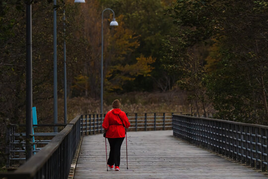Active person in a red jacket practicing Nordic walking on a wooden boardwalk in an Estonian park during autumn - Powered by Adobe