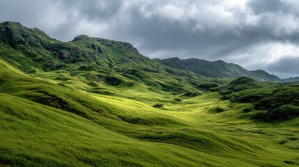 Fototapeta premium Gentle rolling hills covered in vibrant greenery stretch into the distance beneath an overcast sky.