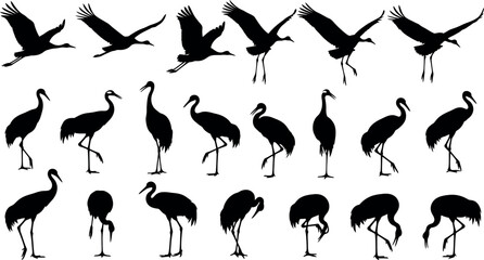 Naklejka premium Crane silhouette collection flying standing and feeding poses on white background