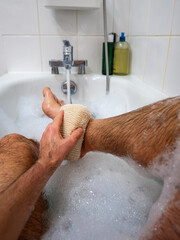 Washing foot with sponge in relaxing bath