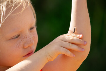 A girl with freckles holds a bug in her arms and plays with it without fear