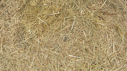 Dry Hay Grass Texture Background &ndash; Natural Golden Rustic Straw Field Surface for Organic Design, Farm Aesthetic, Countryside Backdrop, Eco Nature Pattern, Vintage Rural Photography Texture