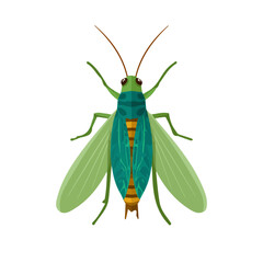 A_Simple_flat_2D_icon_of_a_cricket_insect_isolated_on_a_white, simple illustration with EPS format design	