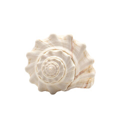 White spiral seashell isolated on transparent PNG — perfect for coastal graphics, nautical themes, and beach decor