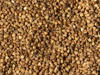 Close-up of raw buckwheat groats as a texture