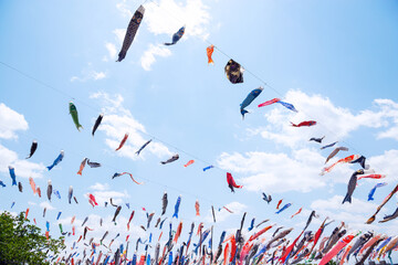 こいのぼりの風景