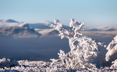 A Cold Day at Late Autumn at Storhovd in Vestre Slidre Municipality, Norway