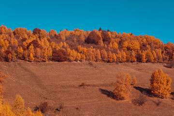 beautiful autumn landscapes in the mountains