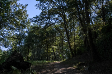 Fototapeta premium beira rio